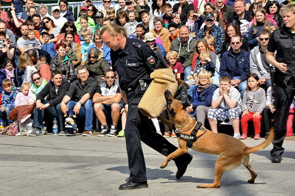 Polizeishow   050.jpg